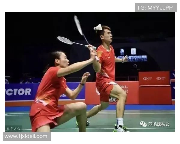 深入分析重庆羽毛球队区域防守战术及其对比赛的影响与应用